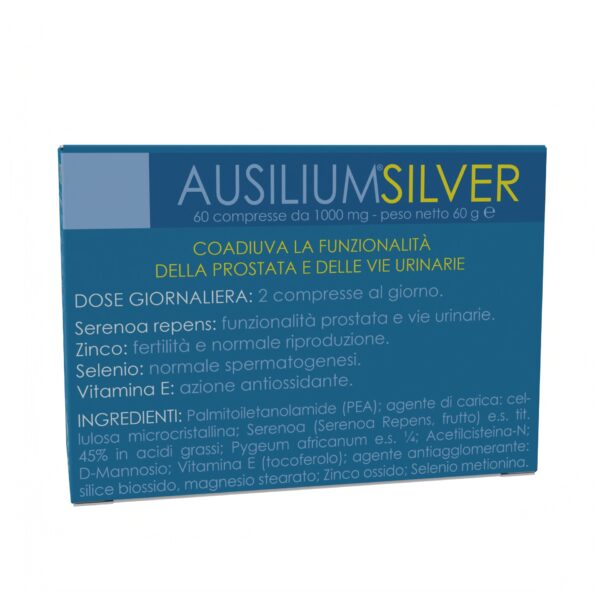 AUSILIUM SILVER – Image 2